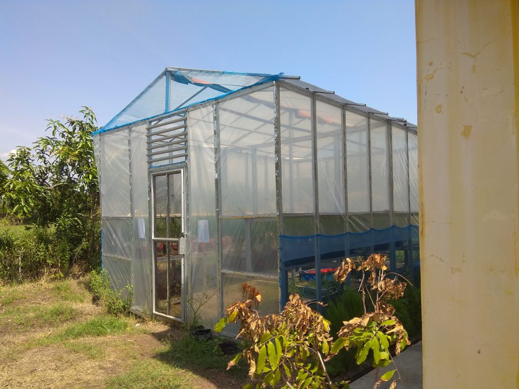 greenhouse1